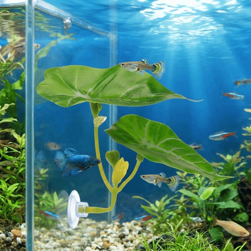 Simulated lotus leaves - simulated, betta