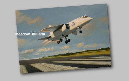 Fridge magnet bac - tsr, plane
