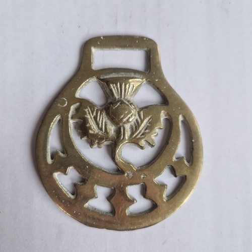 Vintage horse brass scottish - brass, "scottish
