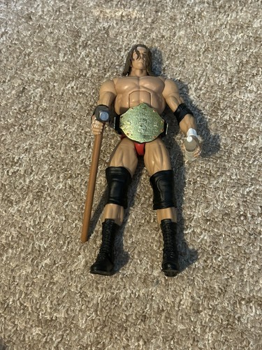 Wwe mattel elite fan - mattel, central