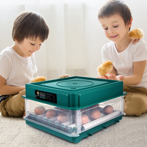 48x eggs fully automatic - 36-48x,