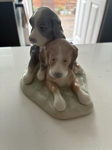 Ladro daisa 1987 pair dogs - daisa,