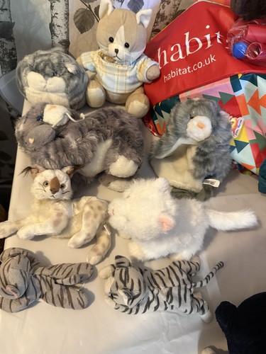 Kitty cat soft - soft, toy