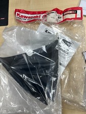 Kawasaki Z1000 dark smoke fly