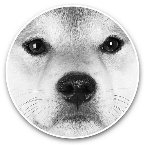 Vinyl stickers 5cm - 2, x