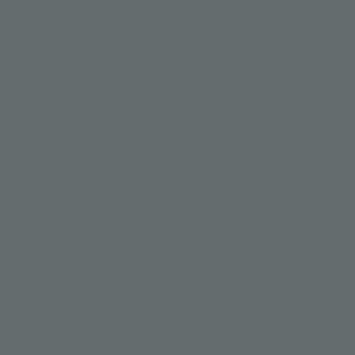 Massey ferguson paint - t20, grey
