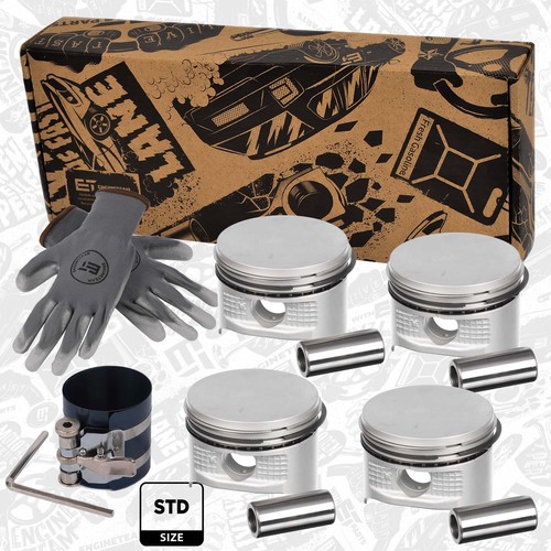 Piston set ford fuja - set, 1,2