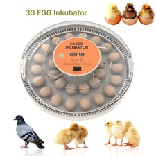 Fully Automatic Incubator 30