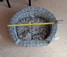 Wicker Grey Dog Bed And Cushion excellent condition.