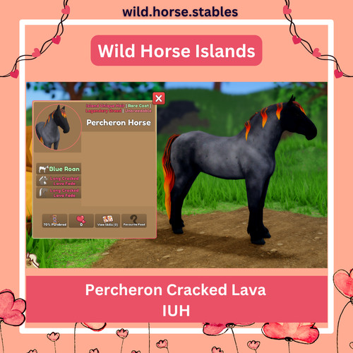 Wild horse islands - -, percheron