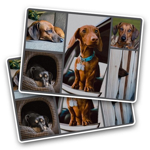 Vinyl sticker cute - vinyl,