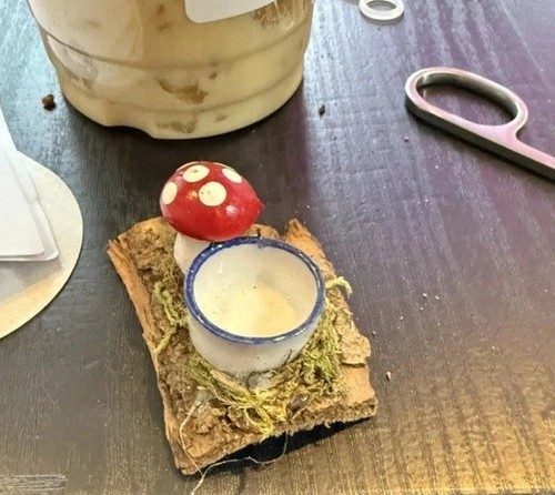 Jumping spider feeding bowl