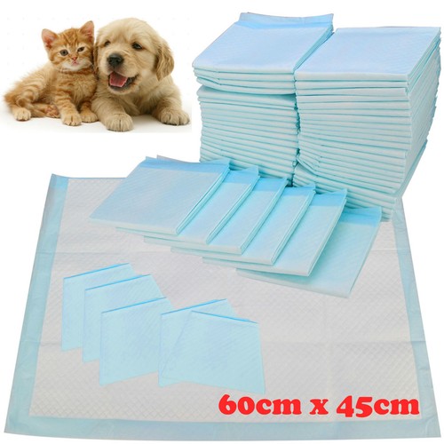 Heavy duty dog puppy - puppy, large