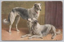 WWI Borzoi Russian Wolfhound Dog Postcard Artist Carl Reichert APO Postmark