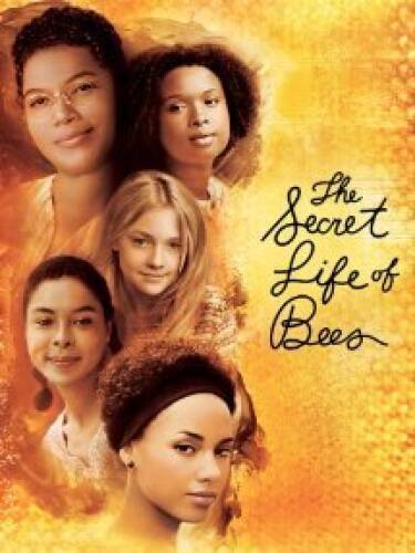 Secret life bees dvd - life,
