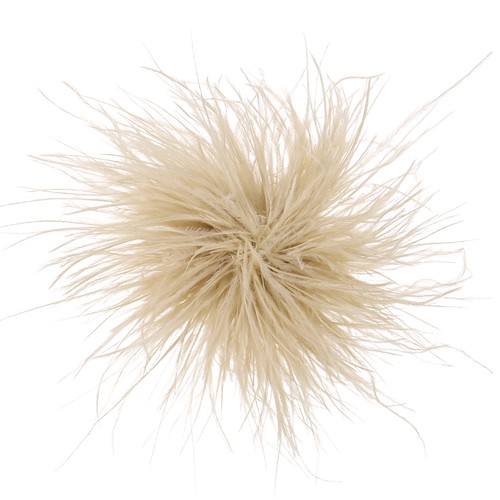 Champagne feather brooches - champagne,