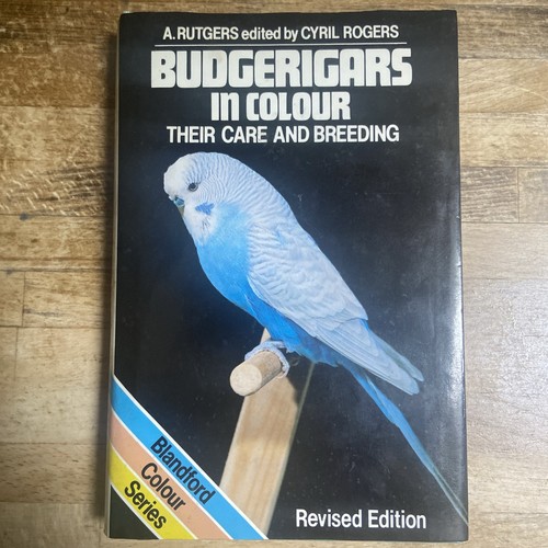 Budgerigars colour their - budgerigars,