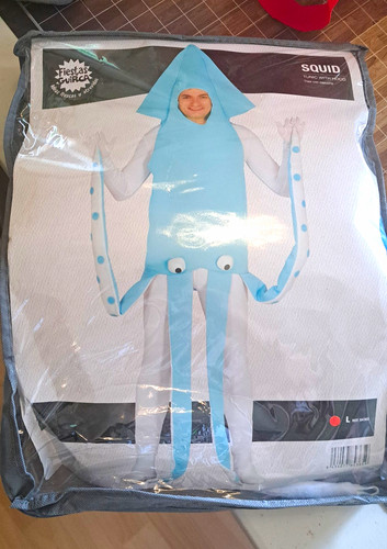 Fancy dress costume adult - fancy, size