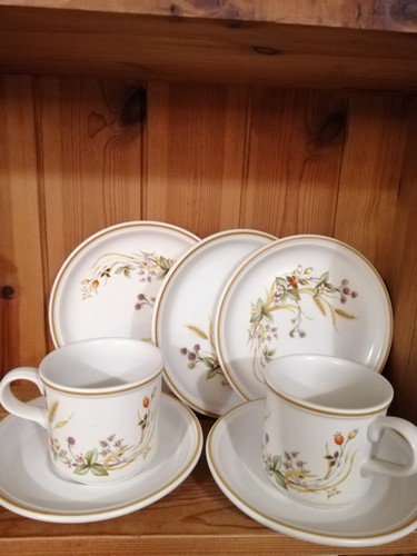 Harvest stoneware cups - 2,