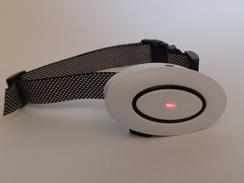 Collar and receiver - , patpet