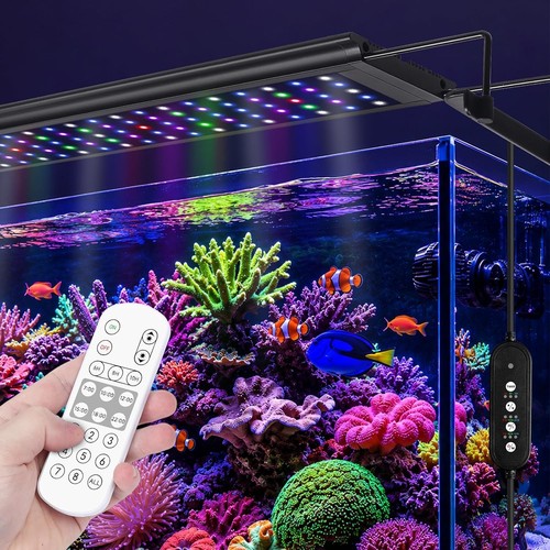 24w full spectrum - full‑spectrum, reef