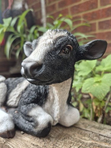 Black white calf ornament - white,