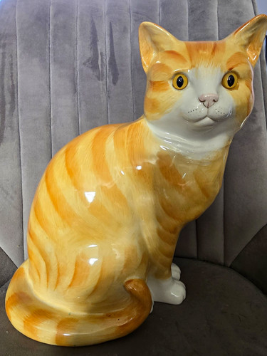 Just cats co staffordshire - just,