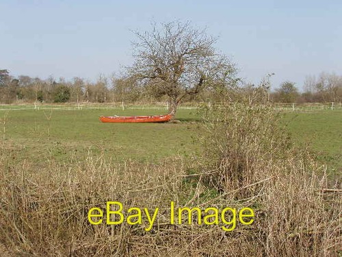 Photo 6x4 canadian - photo, in