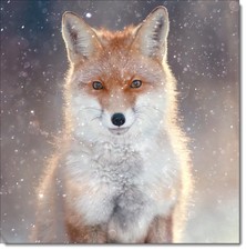 Doodlecards Christmas Card Red