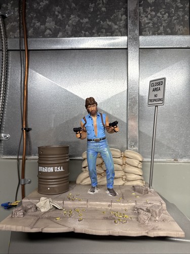 Chuck norris invasion - norris, usa