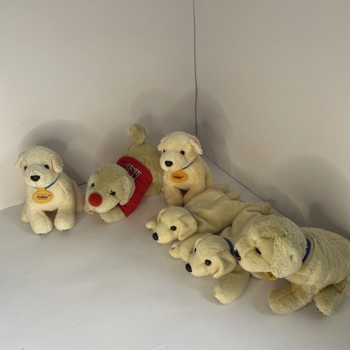 Bundle golden labrador - bundle,