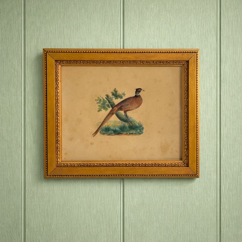 19th century bird - 19th,