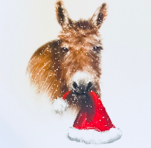 Charity christmas cards - 5, ~