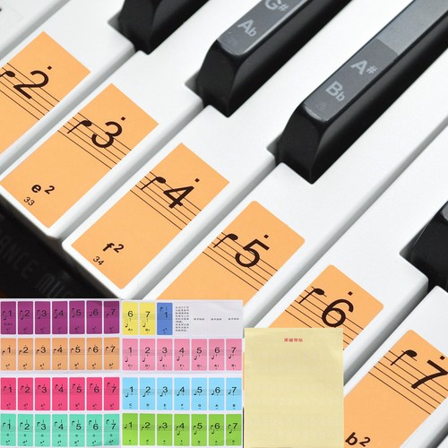 Piano keyboard stickers - keyboard,