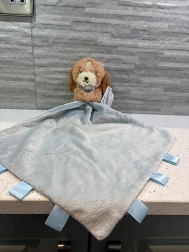 Ziggle puppy dog cockerpoo - ziggle,
