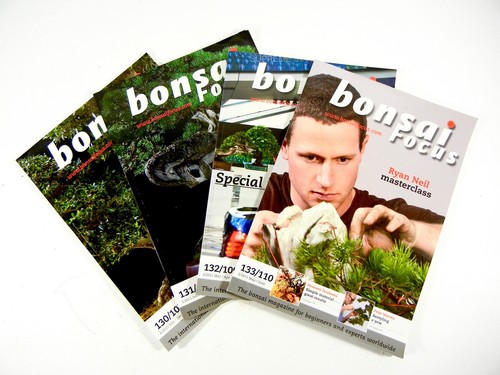 Bonsai focus magazine 4 - magazine,