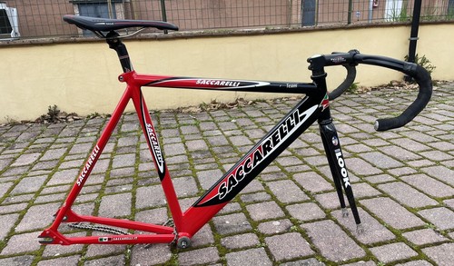 Saccarelli team look hsc - 53,