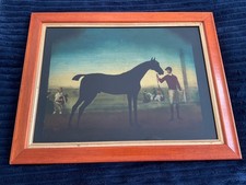 Vintage Equine Reverse