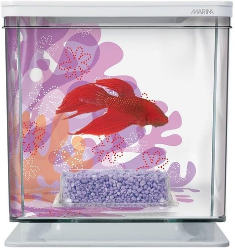 Marina betta aquarium - betta,