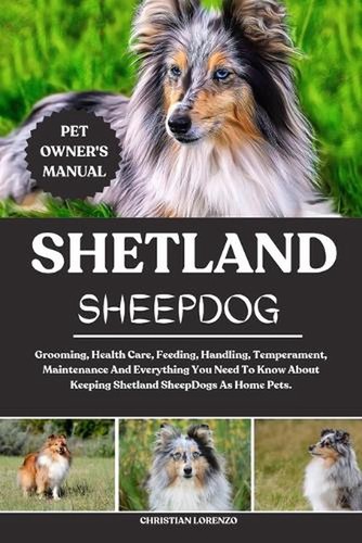 Shetland sheepdog grooming - shetland,