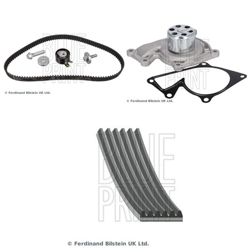 Blue print timing - blue, kit
