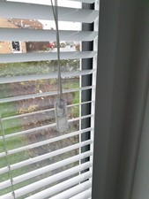 6 Pcs Clear Cord Condenser