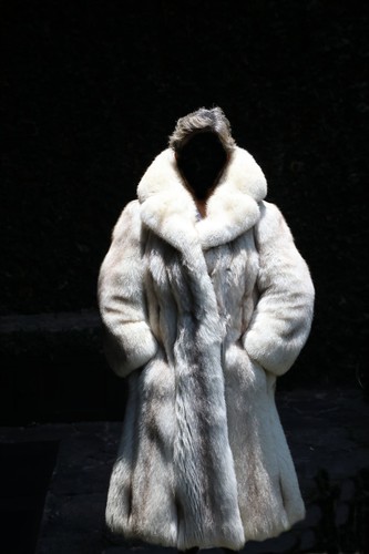 Blue fox full length - , fur