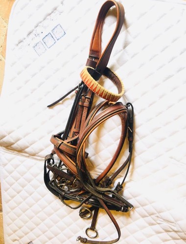 Butet bridle with clip - , on