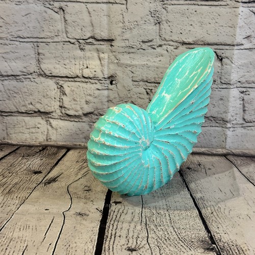 18cm green shabby nautilus - 18cm,
