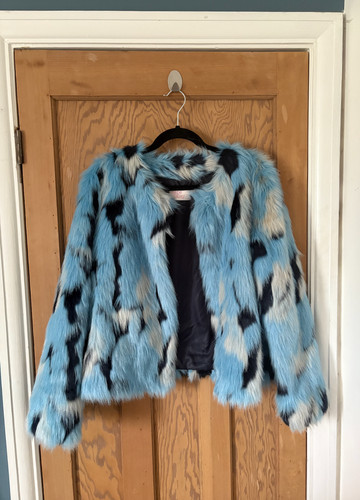 Cape daisy blue black - daisy, blue,