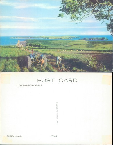 Coastal farm landscape with