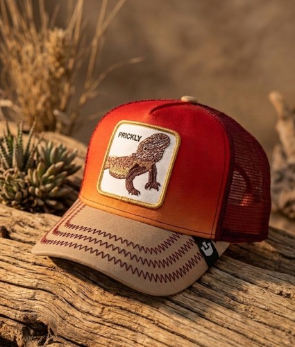 Goorin bros prickly lizard - bros,