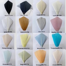 Stripped Coque Feather