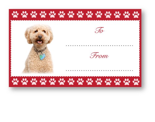 Labradoodle christmas birthday - labradoodle,